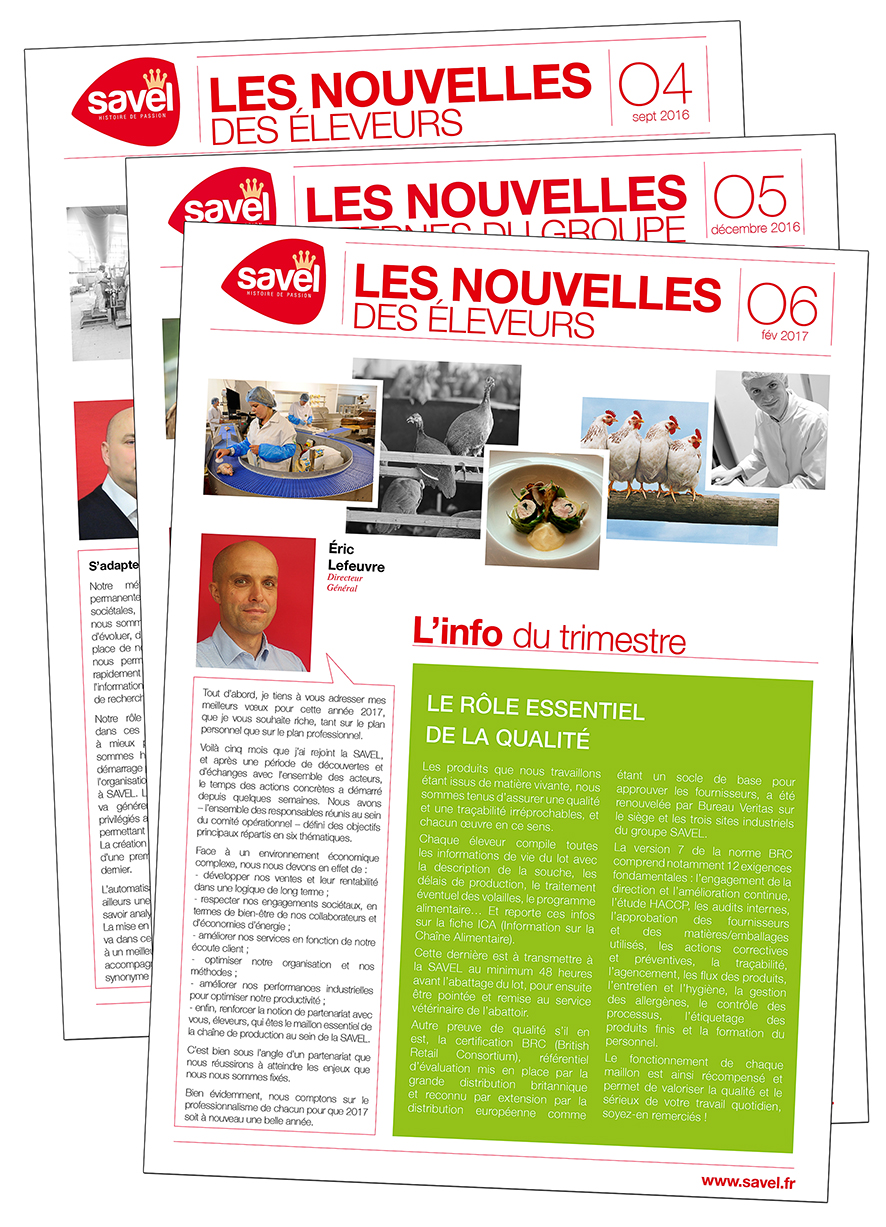 Newsletters SAVEL, à Lannilis